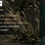 Akdeniz Mutfağının Temeli Zeytinyağı